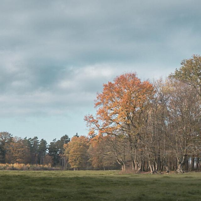 Promenade de la Rochette