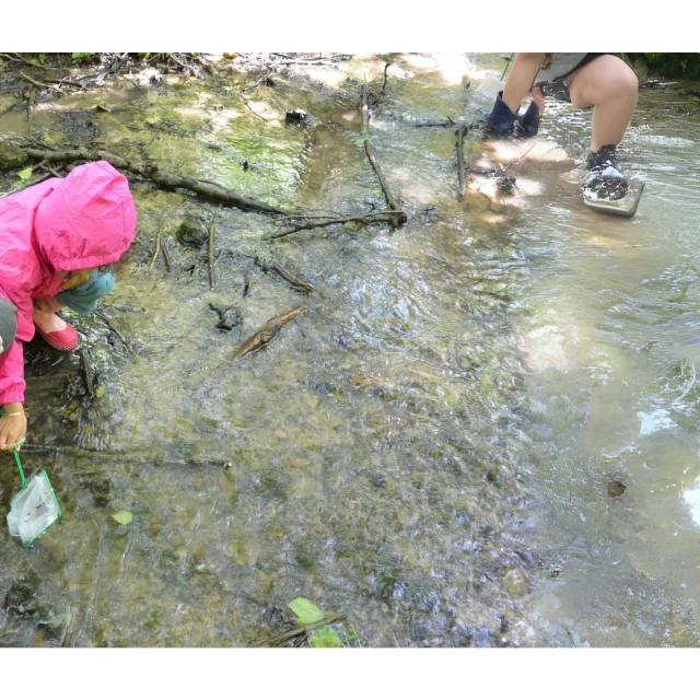 Enfants rivière CRMA