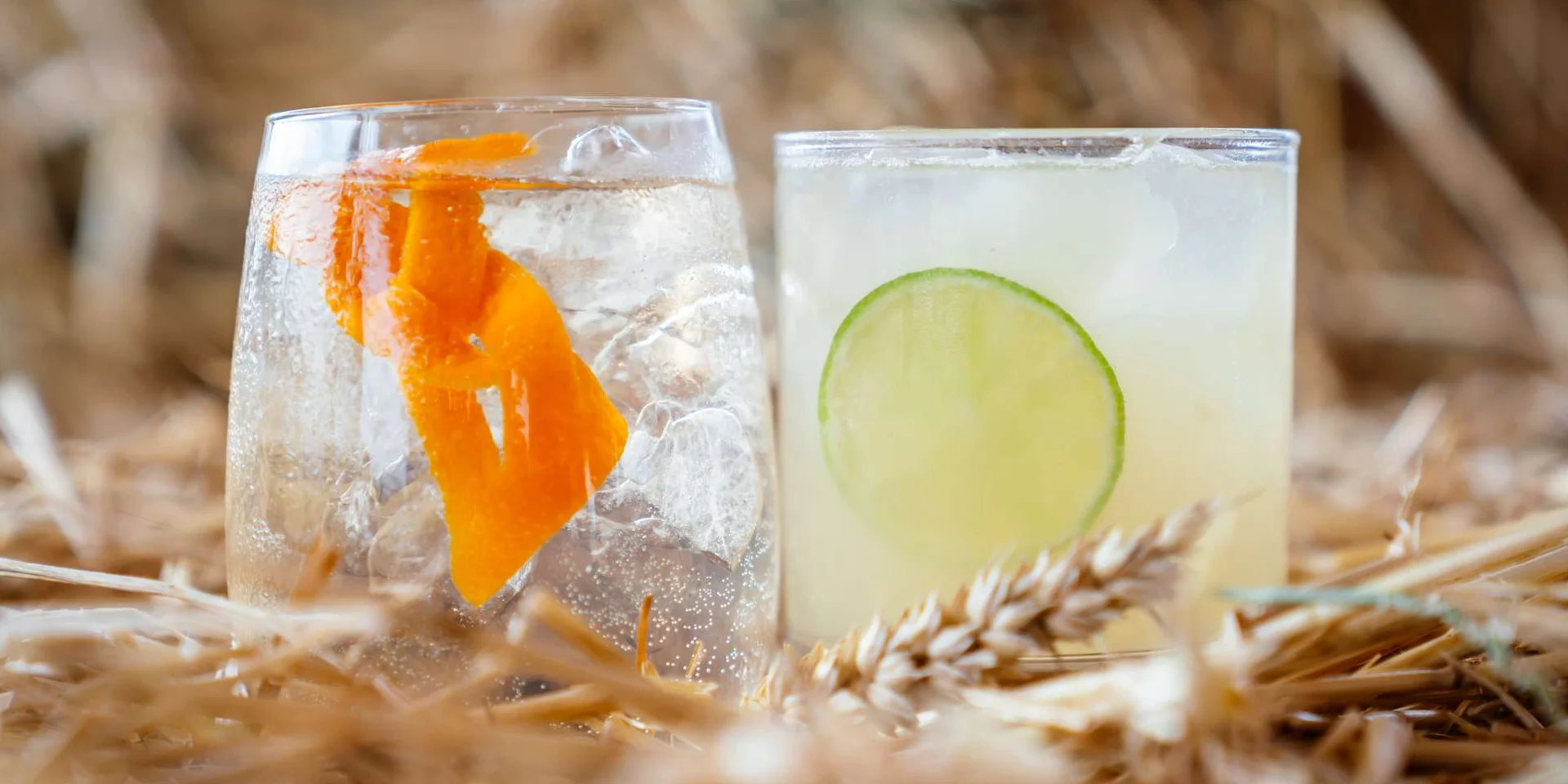 Cocktail-Droits-JennyKiss.jpg