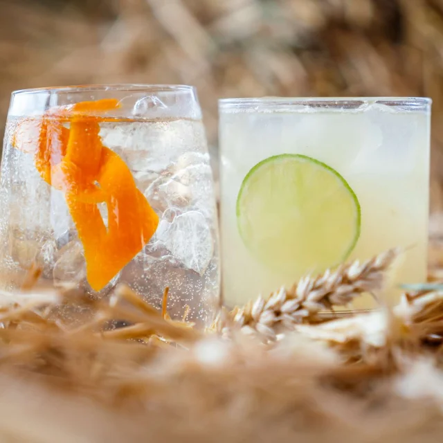 Cocktail-Droits-JennyKiss.jpg