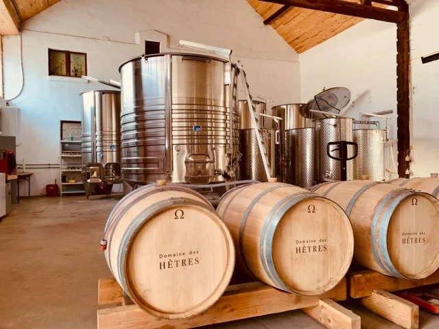 Domaine-des-Hetres-tonneaux.jpg