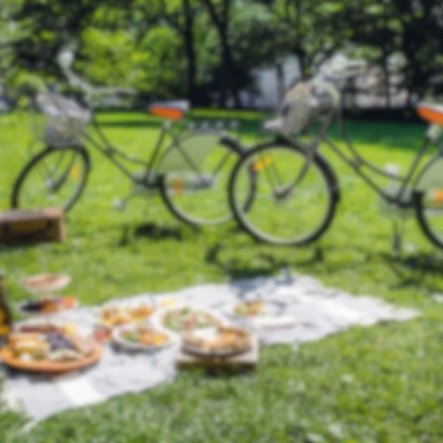 photo-de-couverture-Tasty-Bike.jpg