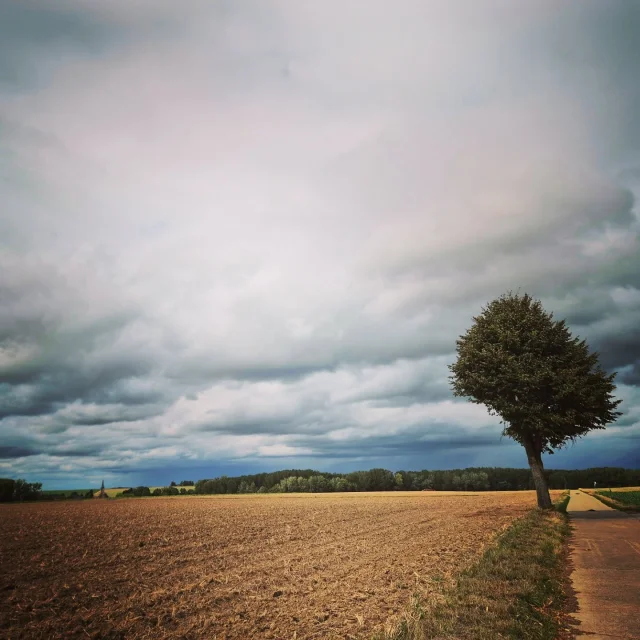 Instagram #hesbaye