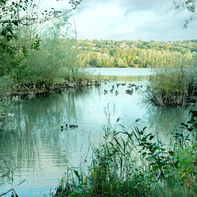 Instagram #terresdemeuse