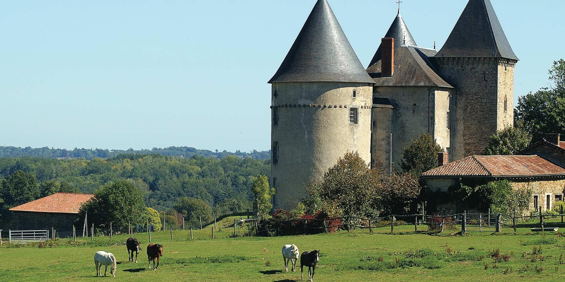 Chateau De Brie