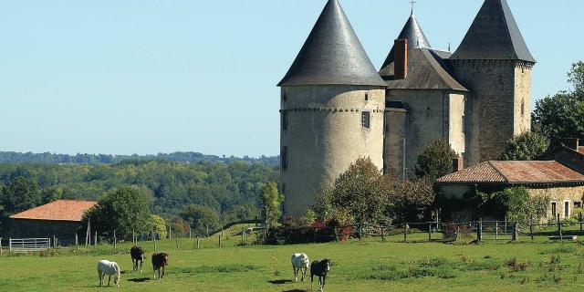 Chateau De Brie