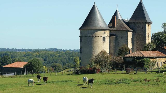 Chateau De Brie