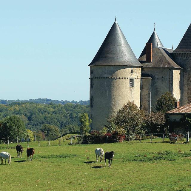 Chateau De Brie
