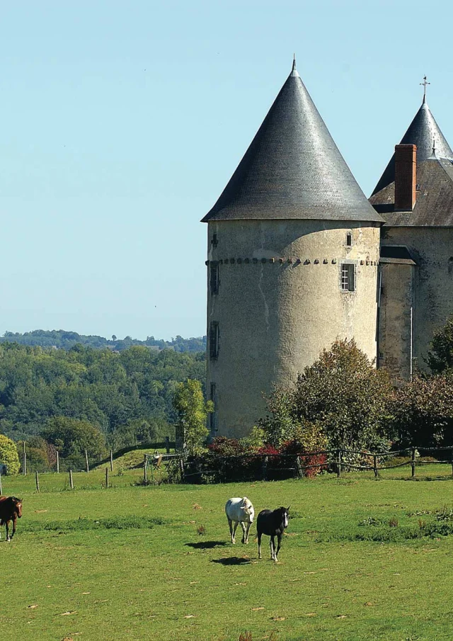 Chateau De Brie