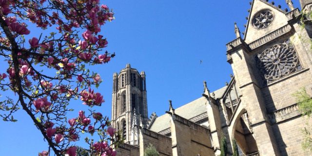Cathédrale Limoges @jfromentfages