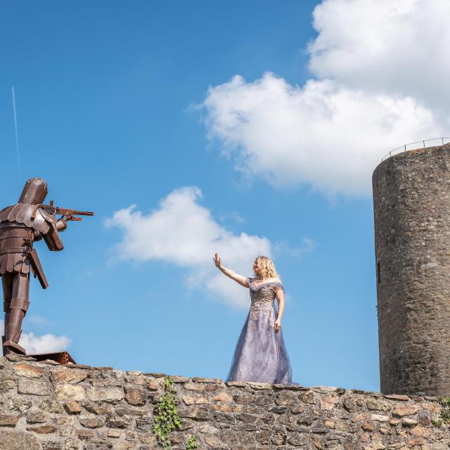 Château de Châlus-Chabrol à Châlus