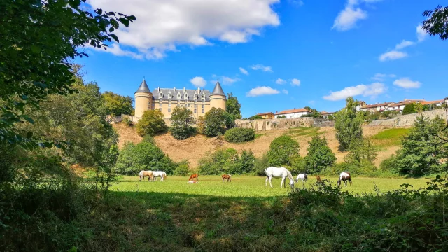 Vue Du Château De Rochechouart ©porte Océane Du Limousin