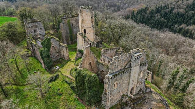 Chalucet Drone Limousin