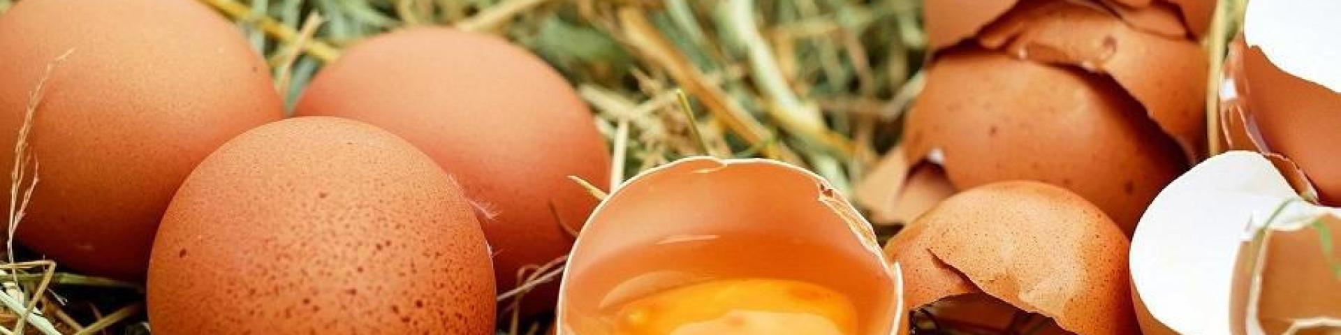 Des Racines Et Des Pates Oeufs