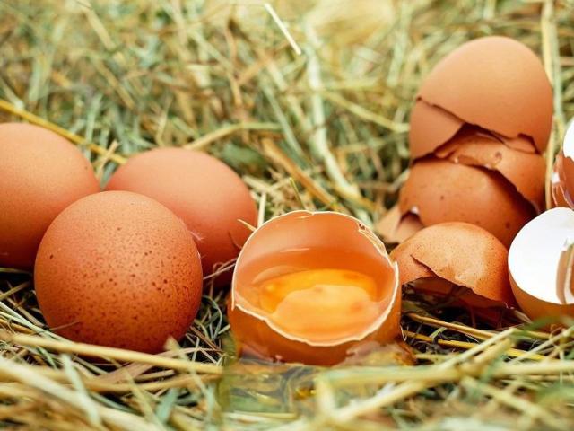 Des Racines Et Des Pates Oeufs