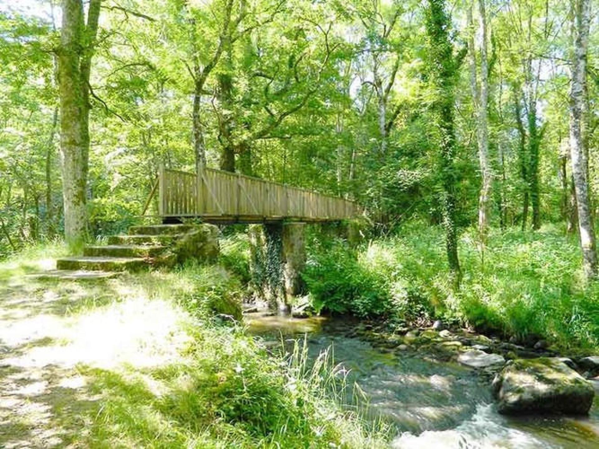 Notre sélection de balades à faire à pied en été en Limousin | Limousin ...