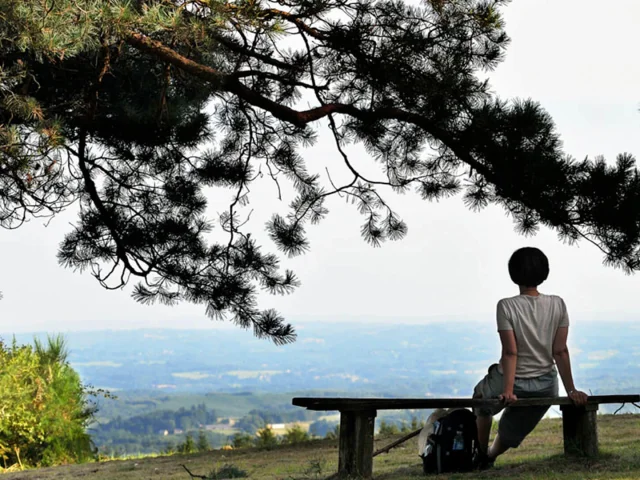 Randonnée Mont Gargan Femme Contemplation