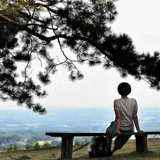 Randonnée Mont Gargan Femme Contemplation