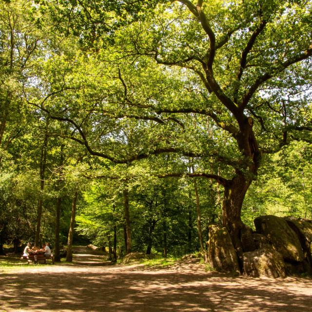 Site Corot à Saint Junien