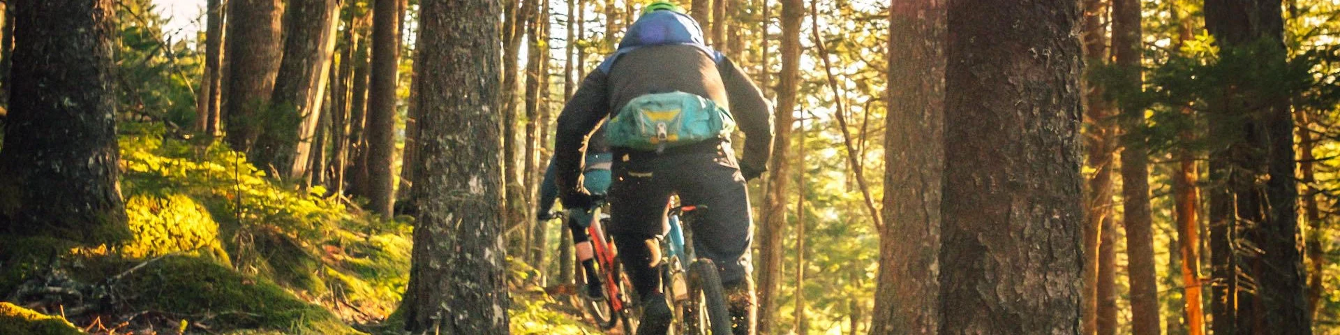 Tim Foster Vtt Unsplash