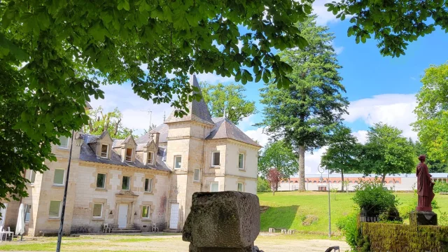 Ile Vassivierecamille In Bordeaux Ss Droit 2021