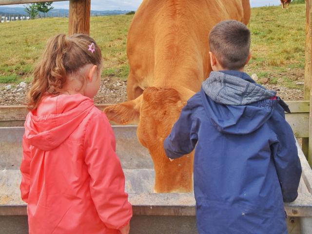 Limousine Park Bar A Vaches