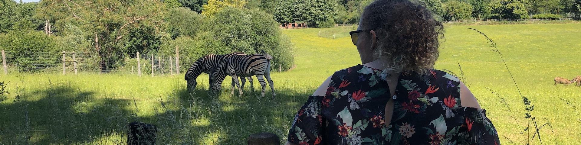 Zoo Du Reynou