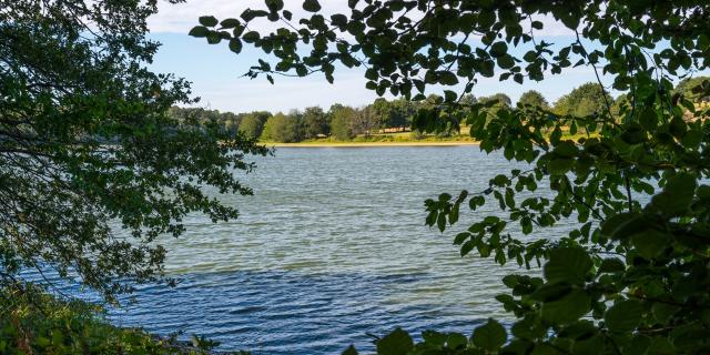 Etang de la Pouge