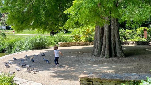 Victor Thuillat Limoges