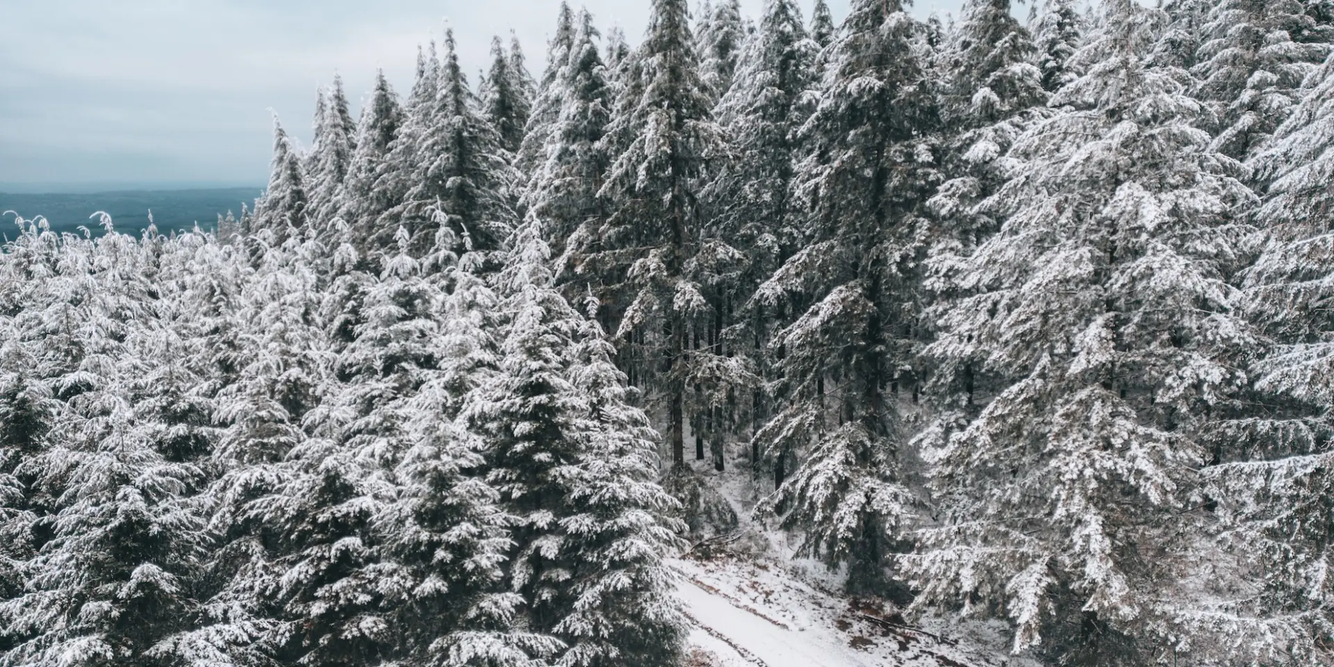 Hiver En Haute Vienne