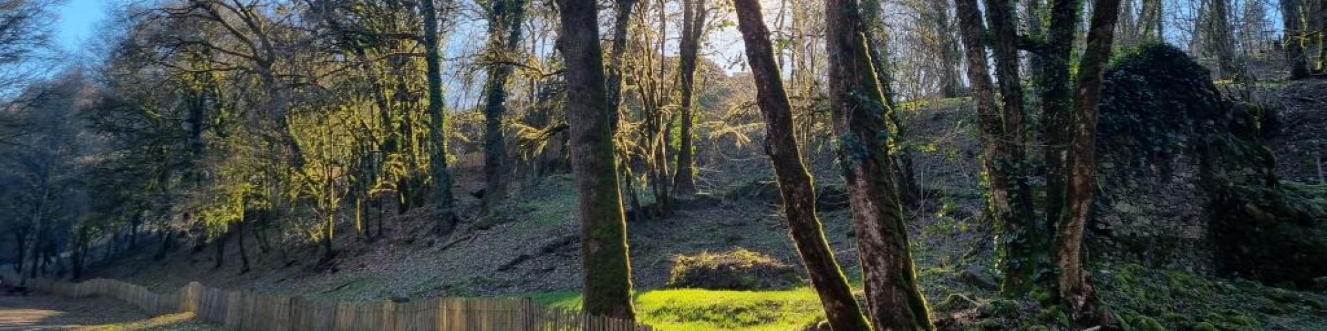 Foret de Ligoure
