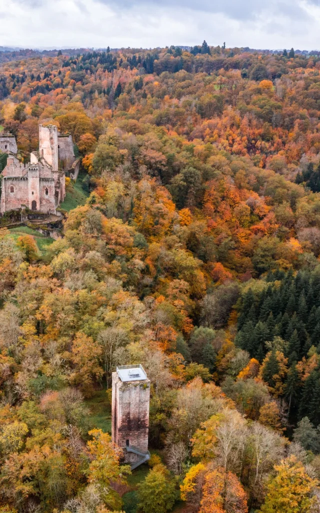 Chateau De Chalucet