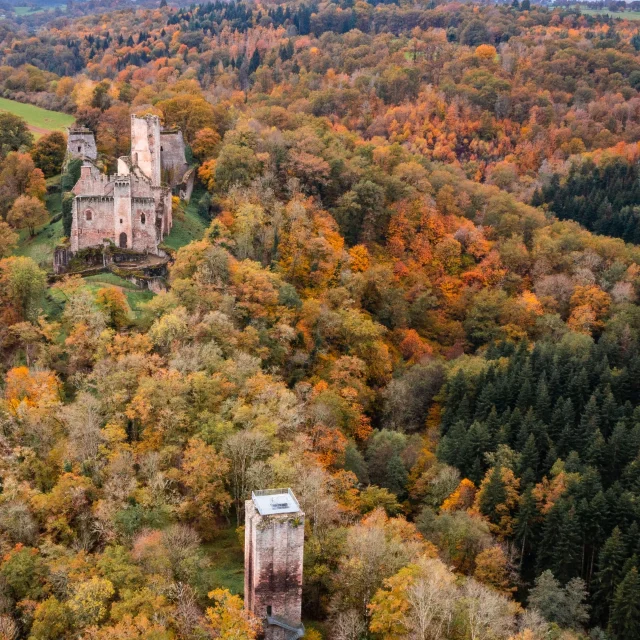 Chateau De Chalucet