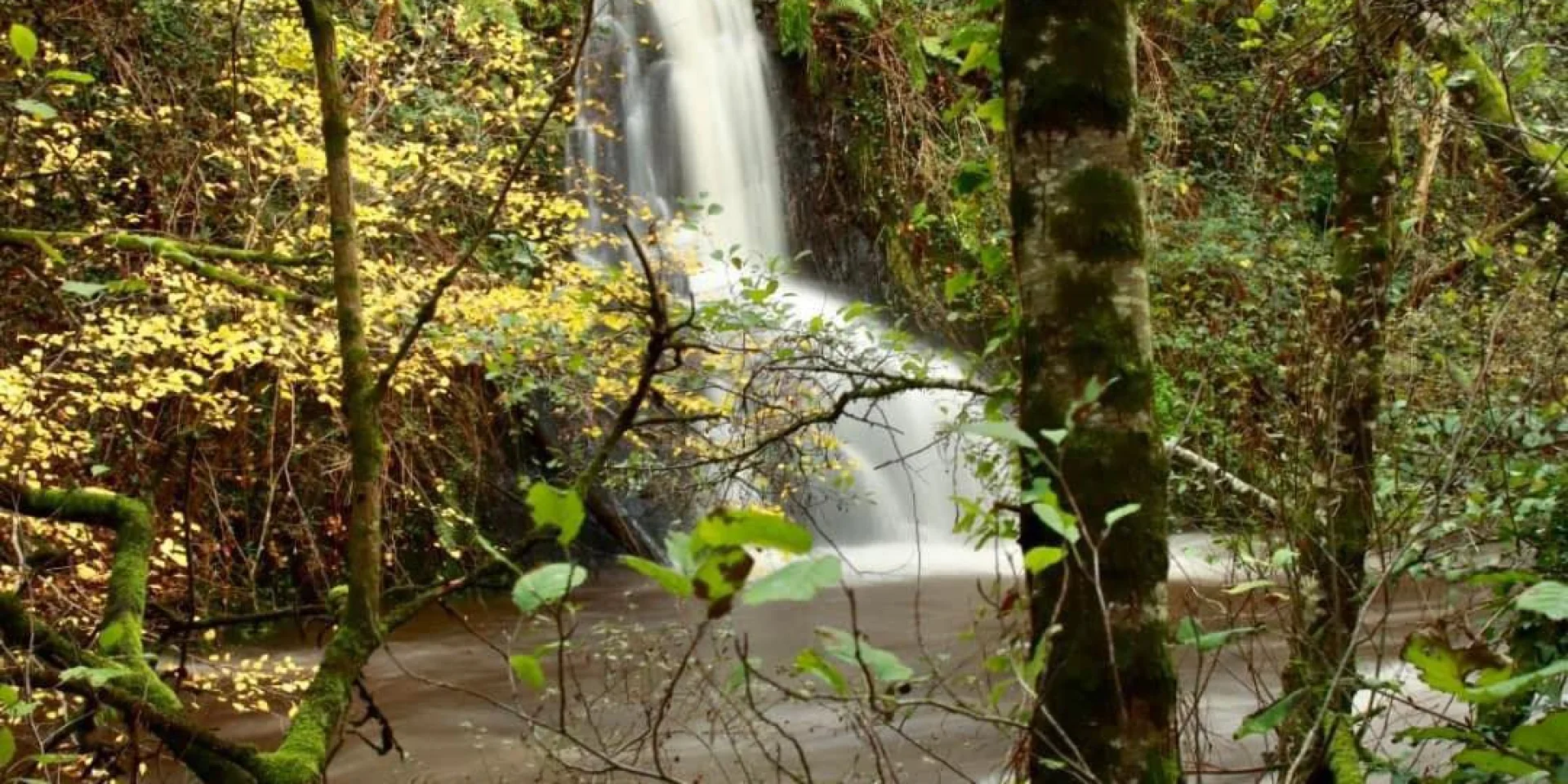 Cascade Du Rimauri
