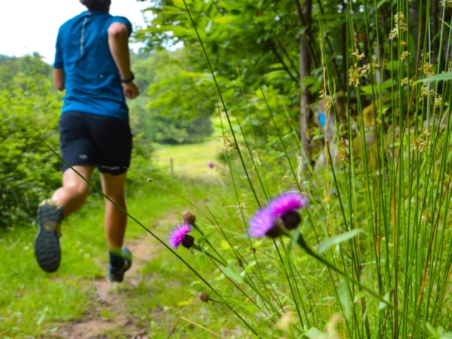Base Uni Vert Trail En Pays De Nexon Monts De Chalus