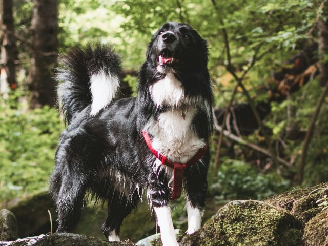 tadeusz-lakota-WGP0uYcn9SE-unsplash-e1743774612443.jpg