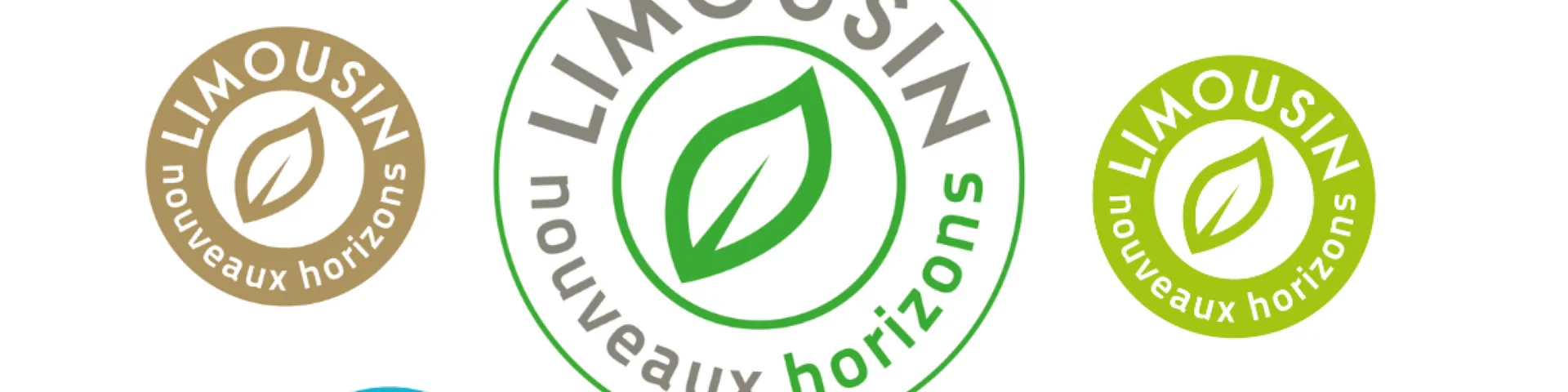Marqueurs LIMOUSIN nouveaux horizons