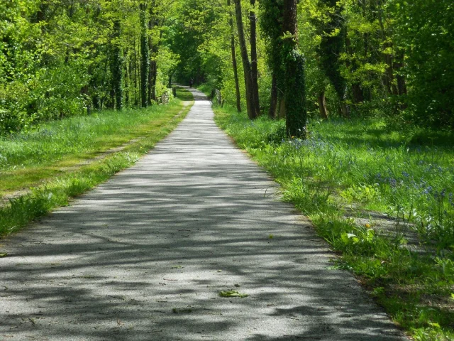 Voie Verte des Hauts De Tardoire