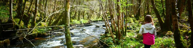 Forêt d'Épagne