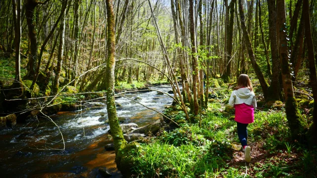 Forêt d'Épagne