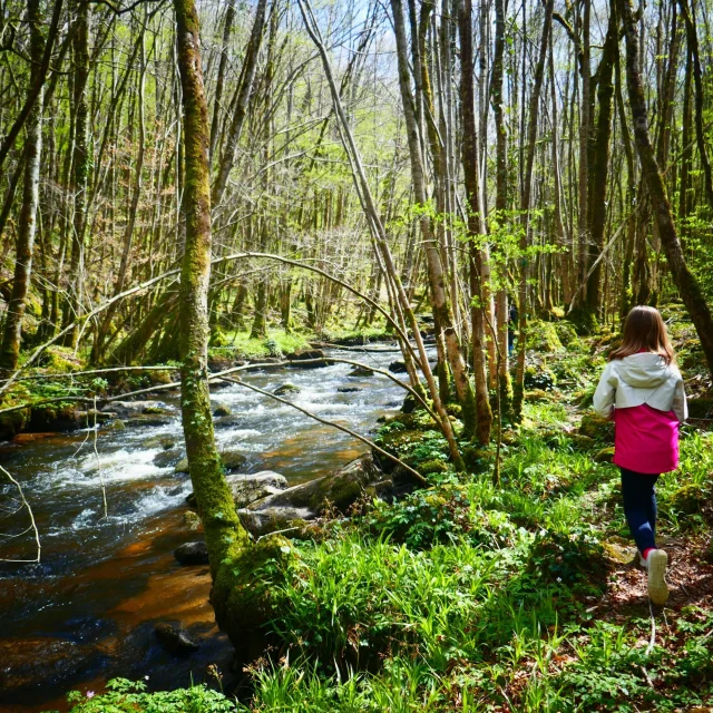 Forêt d'Épagne