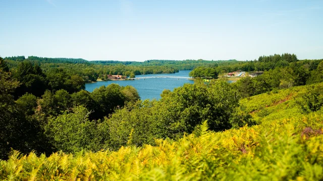 Lac De Saint Pardoux