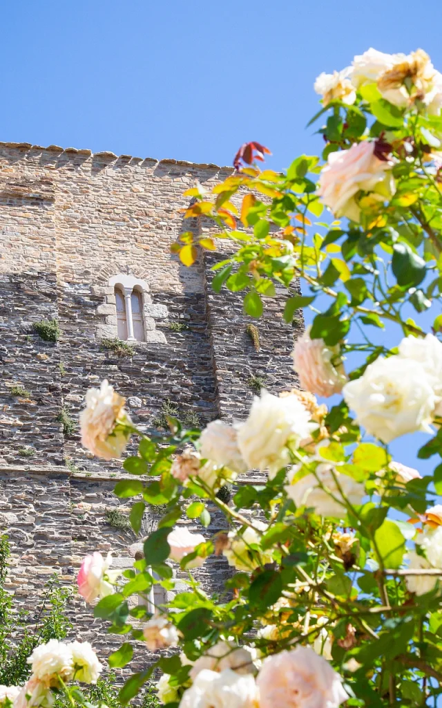 Tour Du Plo Saint-Yrieix La Perche