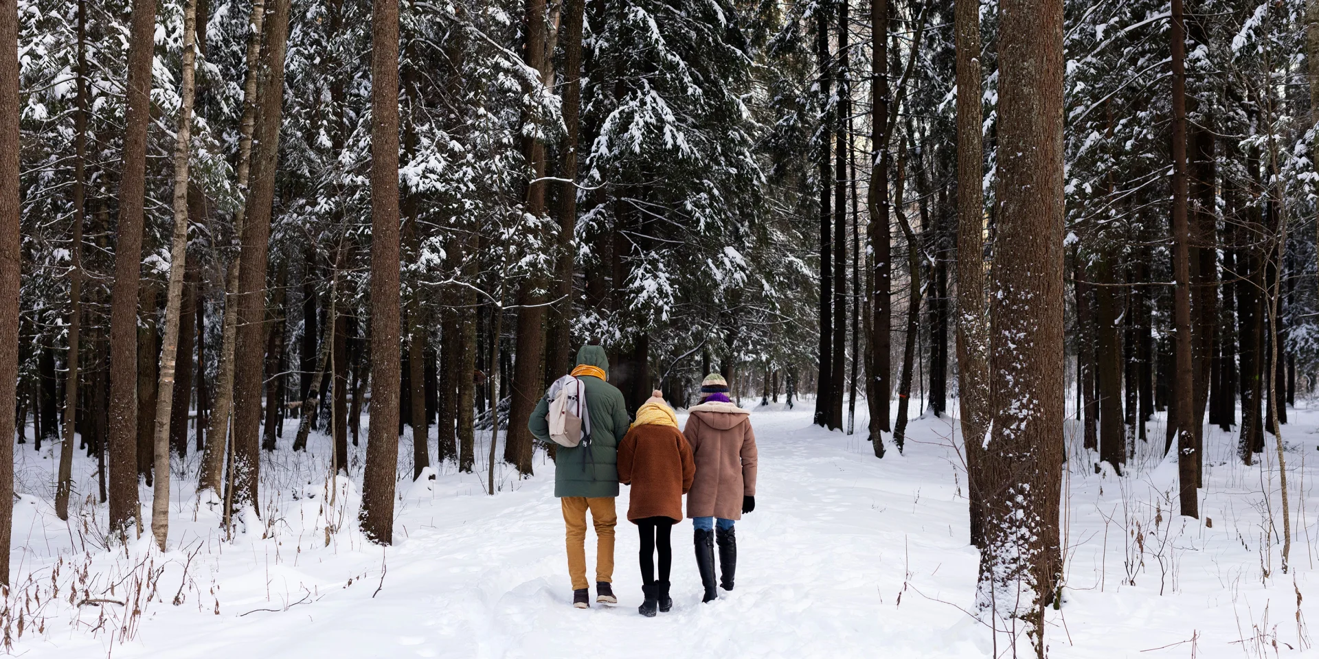 Top 10 Places To Visit Christmas Haute Vienne 3