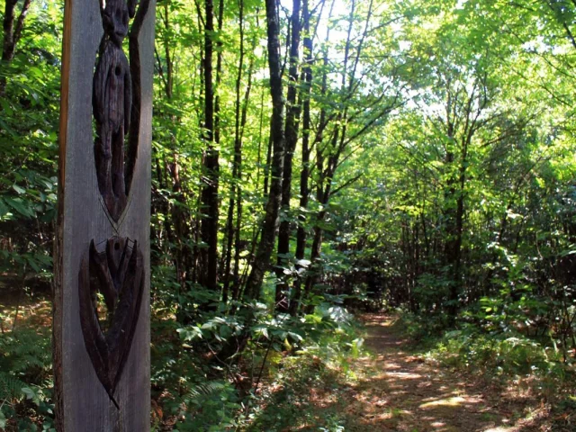 Circuit La Forêt de Boubon
