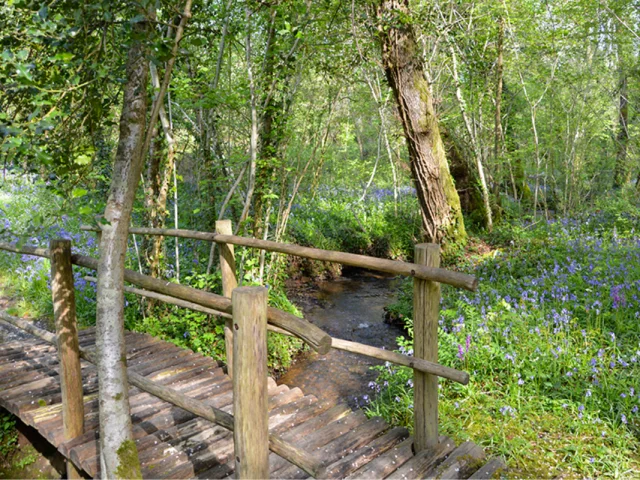 Sentier Musical Pageas - passerelle