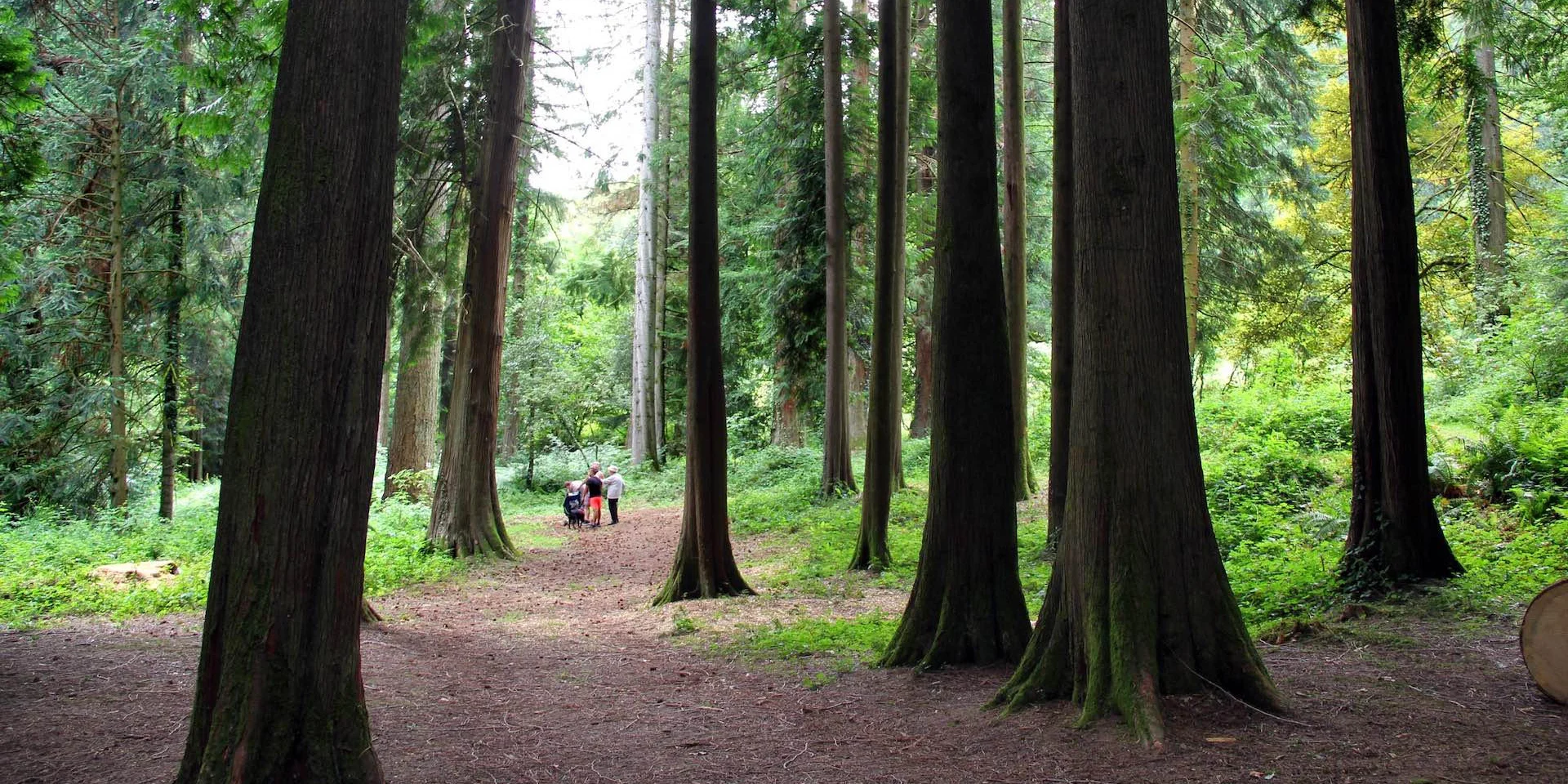 visite arboretum la jonchère week-end entre amis haute vienne