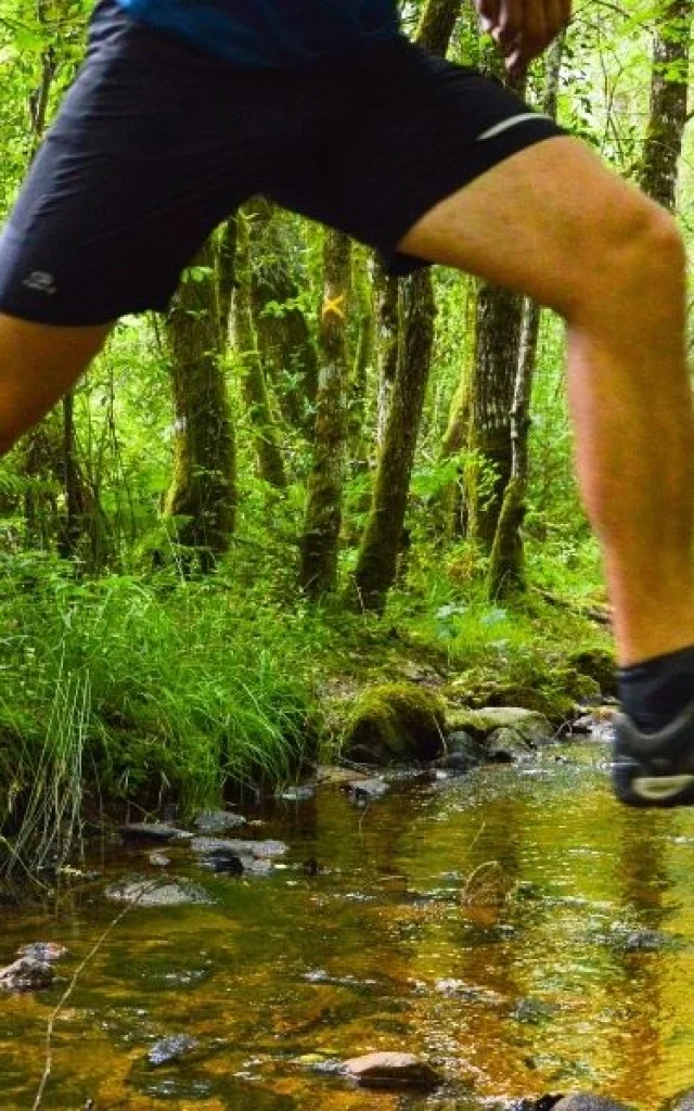Parcours trail en Pays de Nexon - Monts de Châlus
