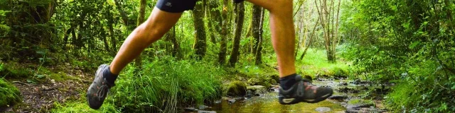 Parcours trail en Pays de Nexon - Monts de Châlus