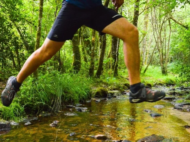 Parcours trail en Pays de Nexon - Monts de Châlus